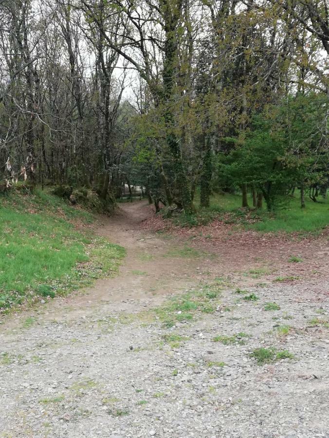 Apartamento Sigueeiro Camino Ingles Sigueiro Εξωτερικό φωτογραφία