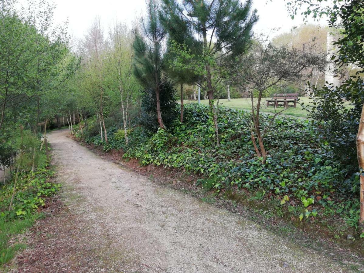 Apartamento Sigueeiro Camino Ingles Sigueiro Εξωτερικό φωτογραφία