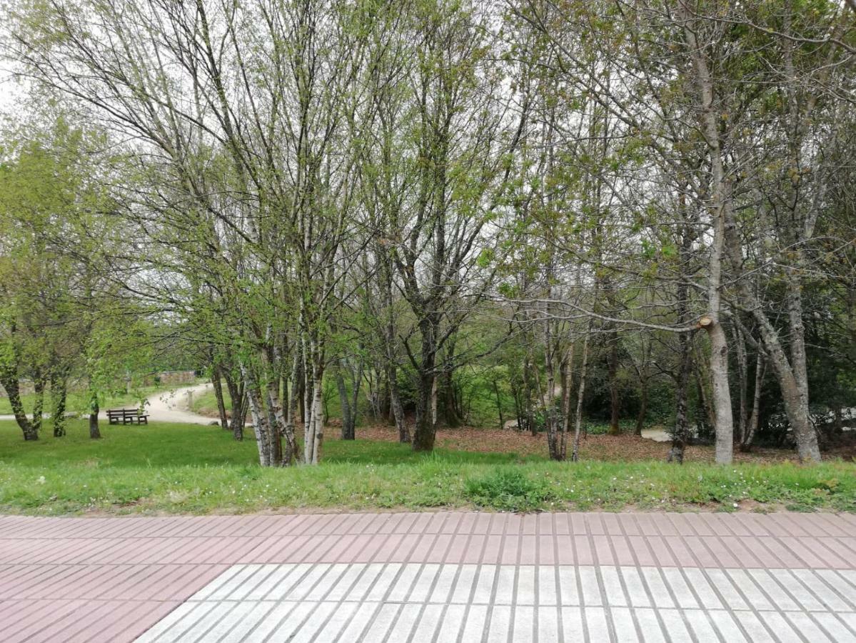 Apartamento Sigueeiro Camino Ingles Sigueiro Εξωτερικό φωτογραφία