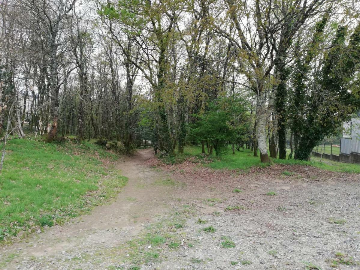 Apartamento Sigueeiro Camino Ingles Sigueiro Εξωτερικό φωτογραφία